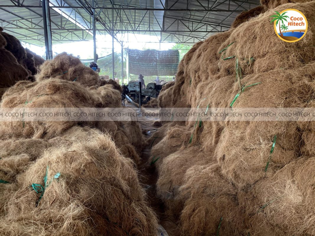Vietnam coconut Fiber
