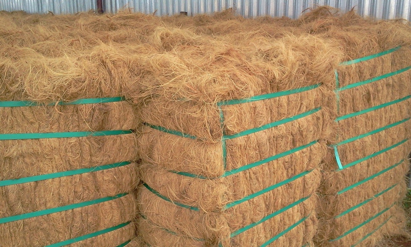 Vietnam Coconut Fiber - CocoHitech JSC