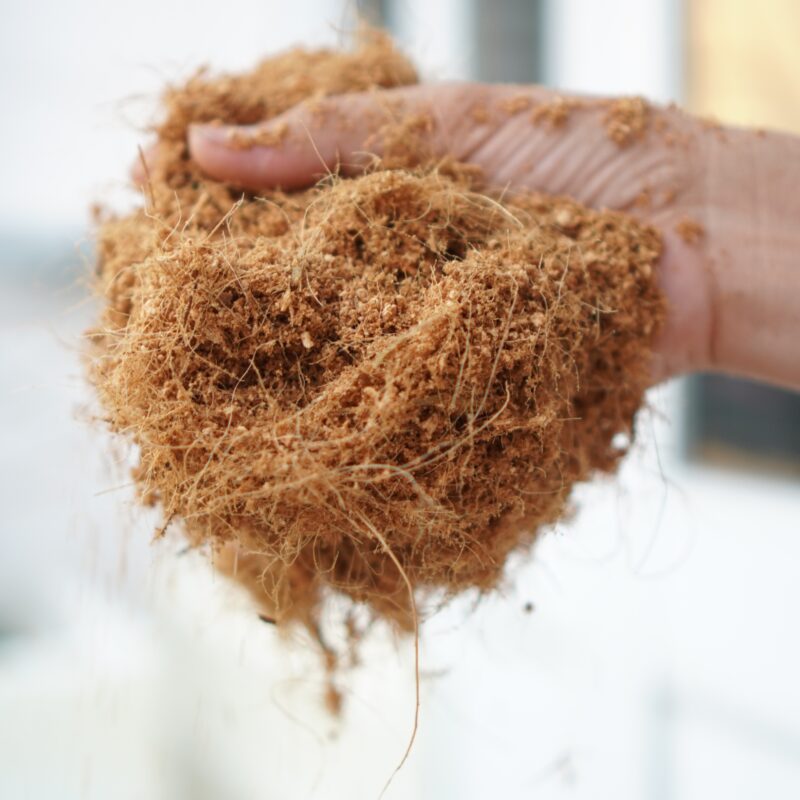 ベトナムのココピート-ココハイテック