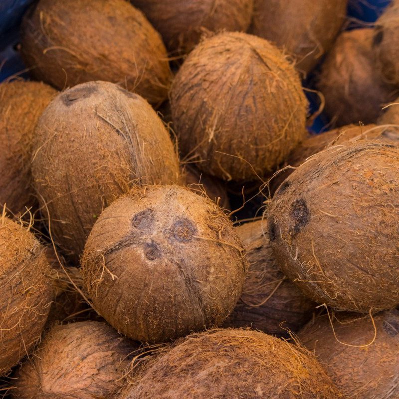 セミハスクココナッツ／乾燥ココナッツ