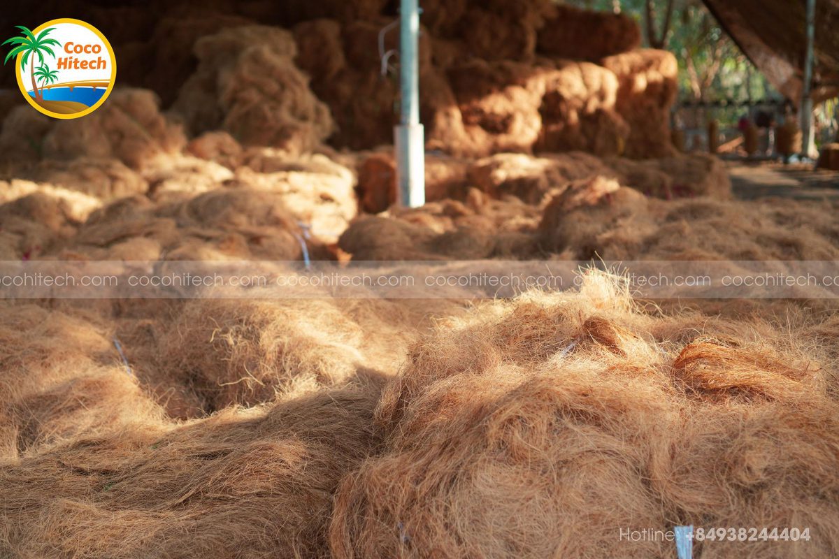 베트남 코아네트