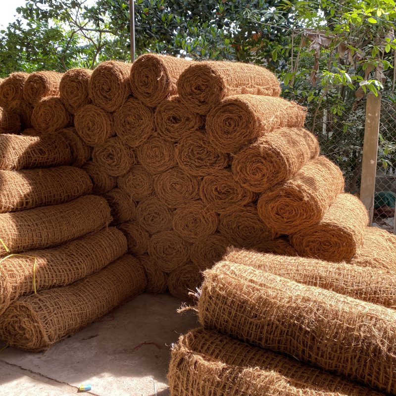 베트남 코아네트