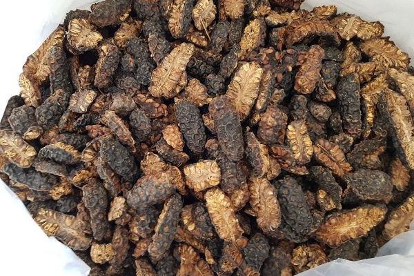 乾燥ノニフルーツ