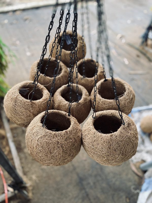 ベトナムのココナッツハンギングバスケット　‐　ココハイテック