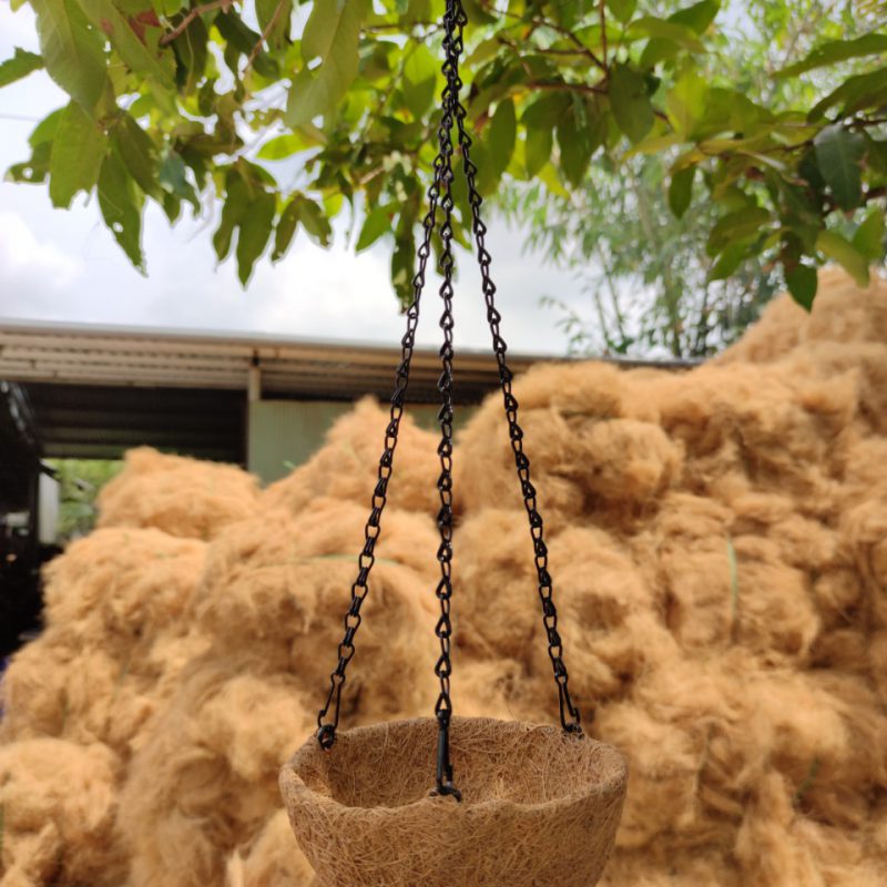 코코하이텍 코코다마