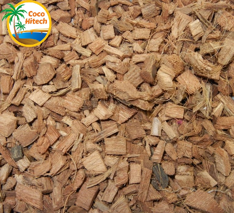 セミ　ココナッツハスク