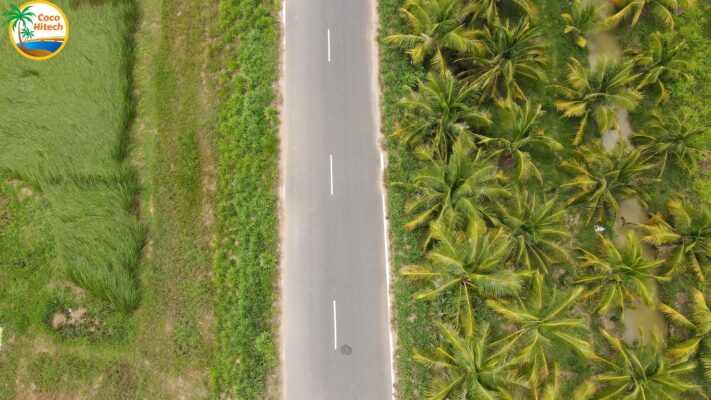 ココナッツ‐ココハイテック