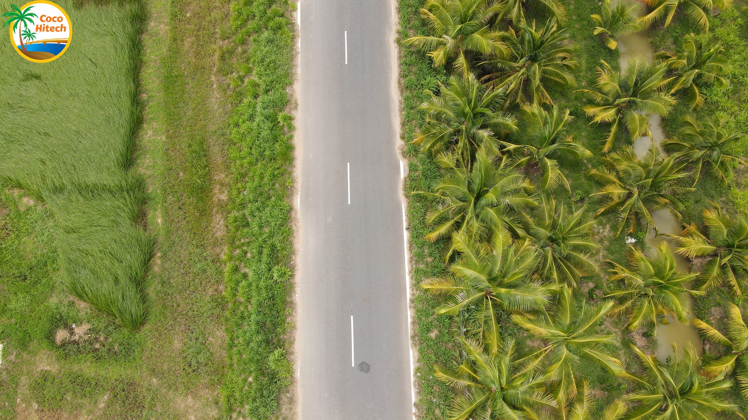 ココナッツ‐ココハイテック