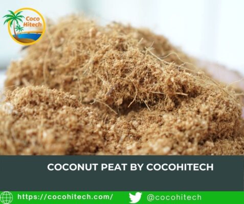ベトナムのココナッツピート-ココハイテック