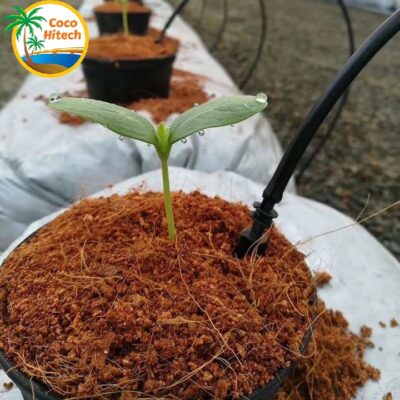 ベトナムのココナッツピート