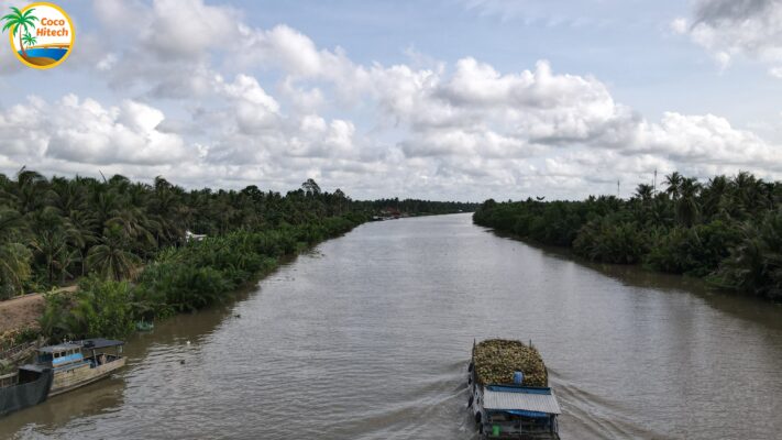 ココナッツ　‐　ココハイテック