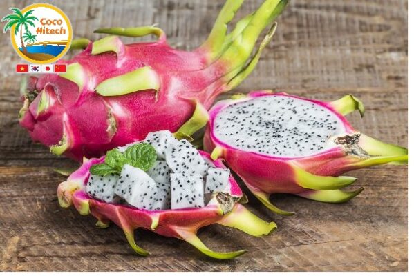 ドラゴンフルーツ-ココハイテック