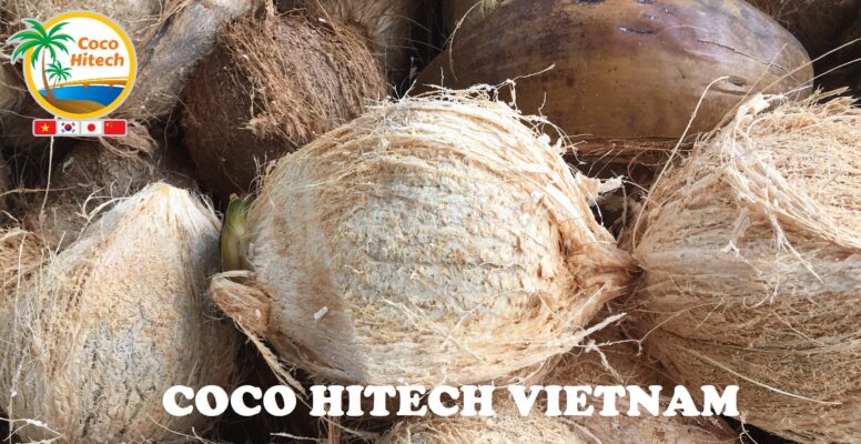 乾燥ココナッツ‐ココハイテック