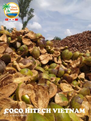 ココピート-ココハイテック