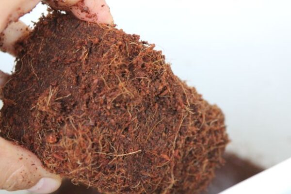 ベトナムのココナッツピート-ココハイテック