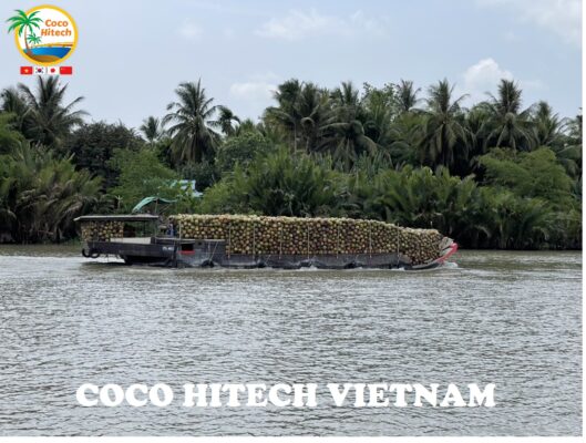 乾燥ココナッツ‐ココハイテック