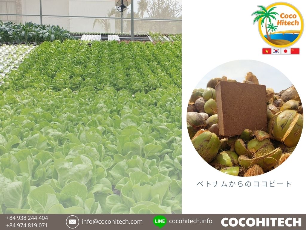 ココハイテク - ココピート