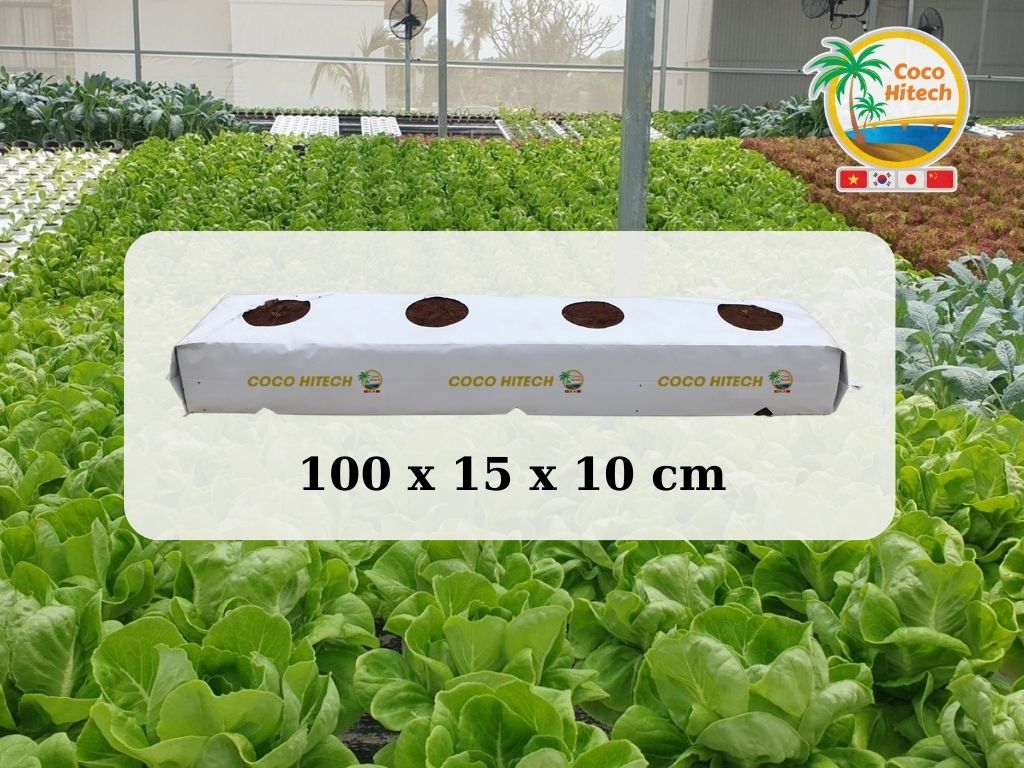 ココピートグローバッグ