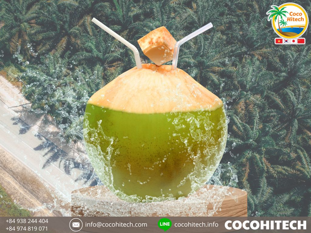 ココハイテク ‐ 新鮮なココナッツ
