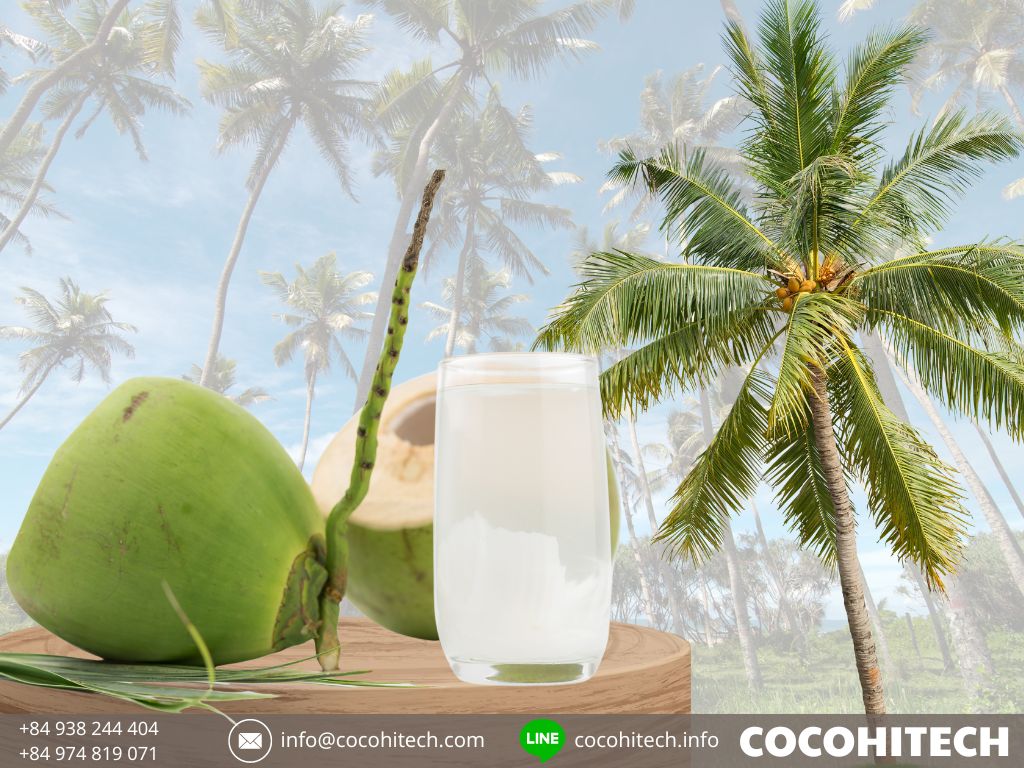 ココハイテク - 新鮮なココナッツ