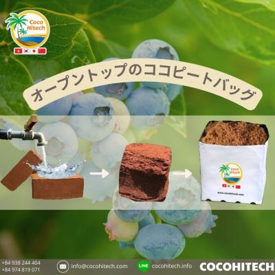 オープントップココピートバッグ