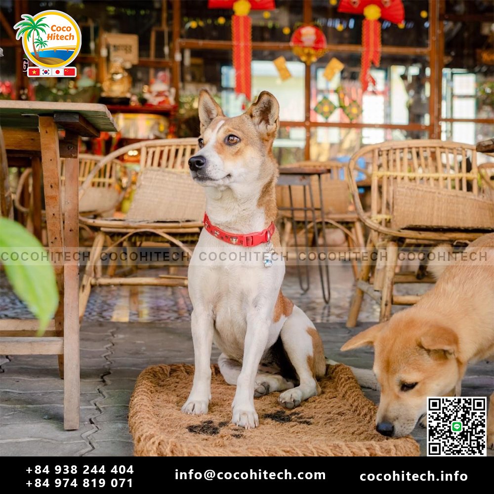 ペット用のココナッツマット