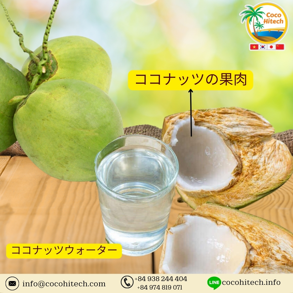 ココナッツ