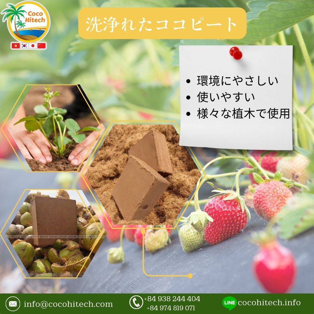 ココピート - ココハイテック