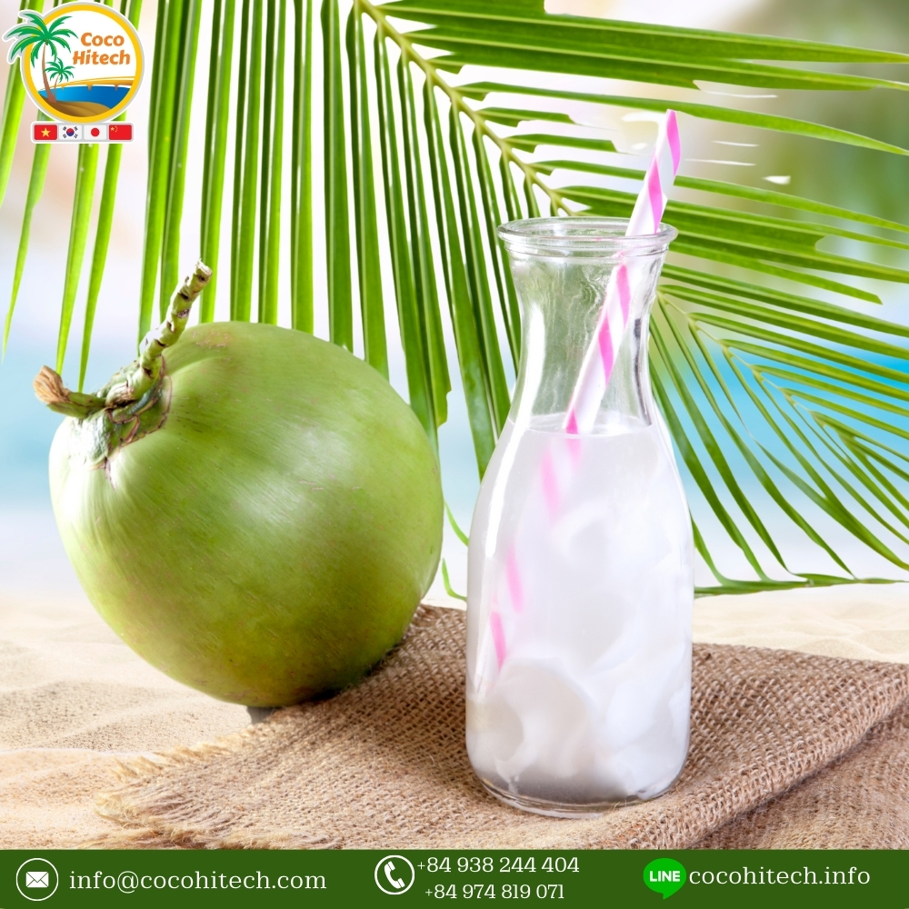 ヤングココナッツ - ココハイテック