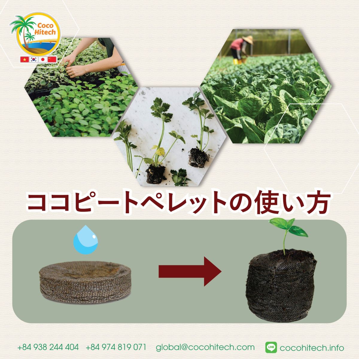 ココナッツピート